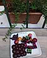 Vanilin Kuzguncuk Cafe 5